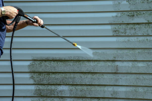Best House Exterior Washing  in Ashley, PA